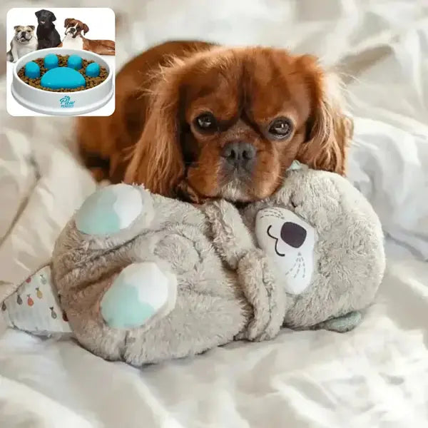 COMBO PREMIUM Black FRIDAY/🧸HugSleep® Peluche Relajante para Mascotas + 🐾Plato Antiestrés 🐕+ Envío Gratis🚚