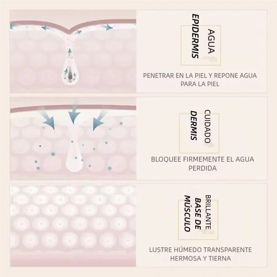 Kit Arroz Bioaqua™ x5